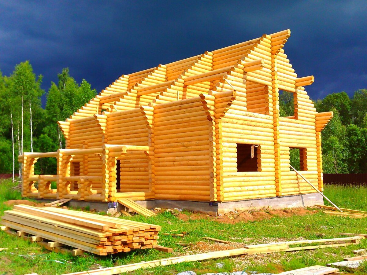 Как строят деревянные дома? - Болезни попугаев