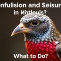 Convulsions et Crises chez l'Oiseau: ¿Qué Hacer para Salvar y Cuidar a Tu Mascota Alada?