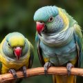 Les carences nutritionnelles chez les perroquets : comprendre, prévenir et agir pour la santé de votre oiseau