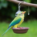 Dehydration beim Vogel: Was tun, wenn Ihr gefiederter Freund nicht trinkt?
