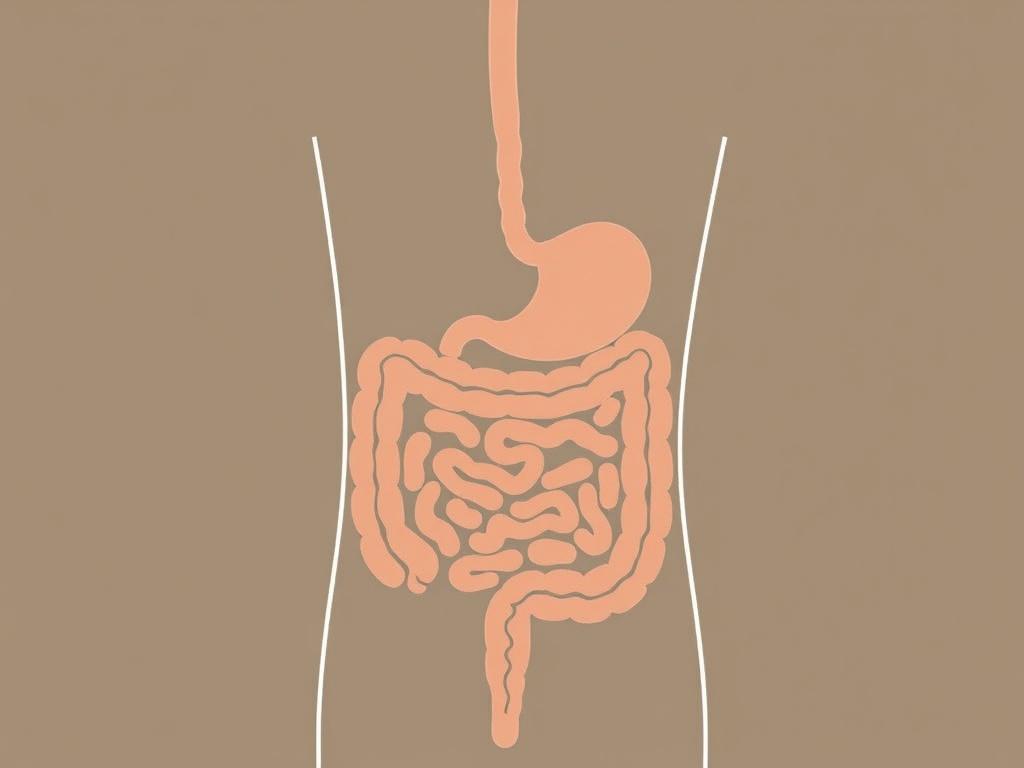     La diarrhée et les troubles du tube digestif.. Médicaments : ce qu'il faut savoir