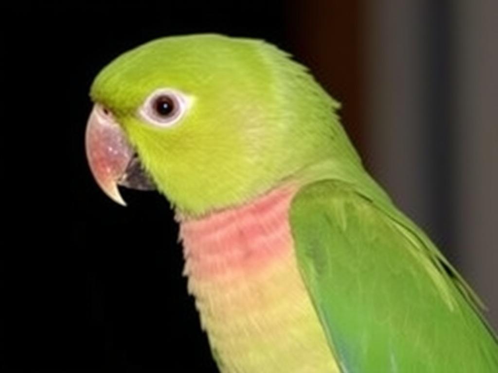     Papillomatose bei Papageien. Weiterführende Ressourcen und Anlaufstellen
