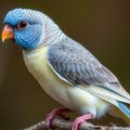 La Psittacose (Chlamydiose): síntomas, zoonosis y todo lo que necesitas saber para protegerte a ti y a tus aves
