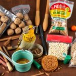 Товары для птиц: как выбрать всё необходимое и не потеряться в ассортименте